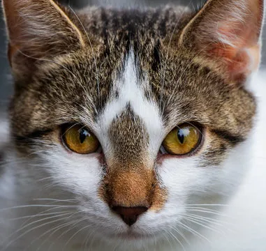 解说与镜头分析人物形象